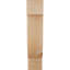 Corbeau alpin-1059789619-1059789665-1059789617