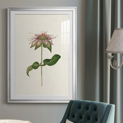 Mauve Garden Flowers V - peinture encadrée