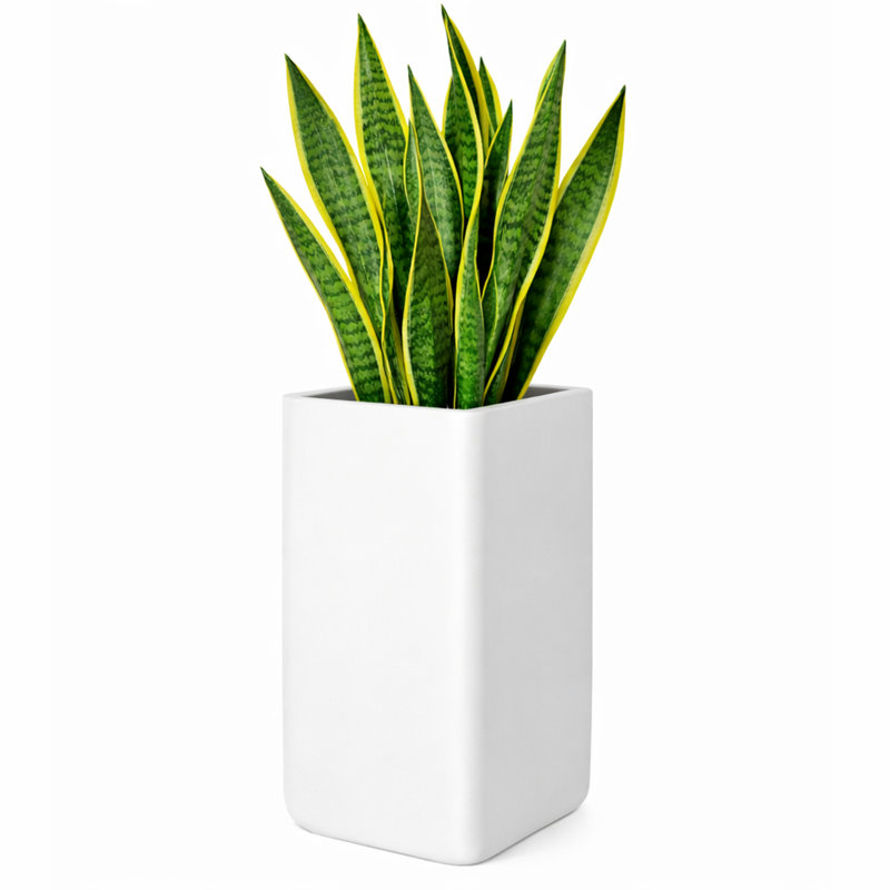 Kute Nest Elio Zen Column Fiberstone Planter - Santorini White - H30", 30'' H x 17'' W x 17'' D, White