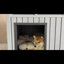 Niche pour chien en résine résistante aux intempéries et à toit amovible 24,15 po H (noir)-305157383-307201082
