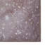 Avalyne area rug Printed Rectangle Rose-70523201