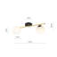 Witman 2 - Light Dome Chandelier-641303693-641303688