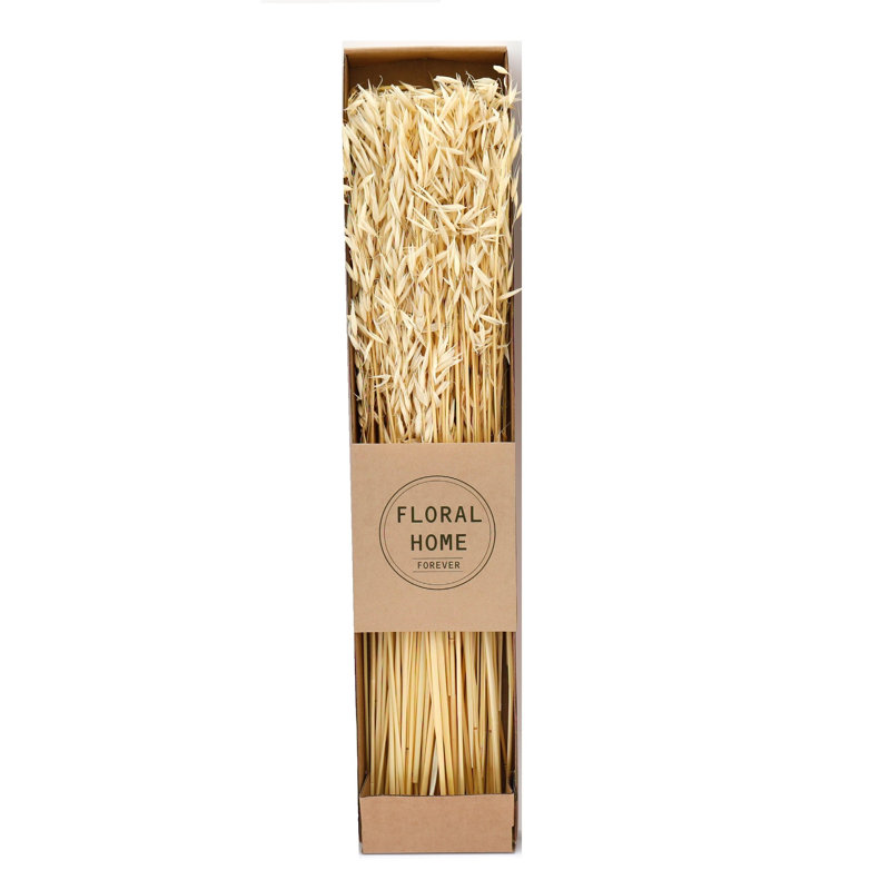 Natural Fibres Dried Oats Arrangement