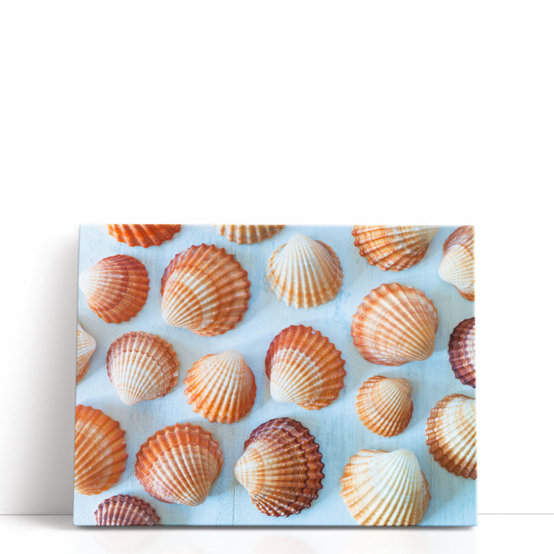 «Mass of Sea Shells», reproduction d'art sur toile, H 18 po x l 24 po
