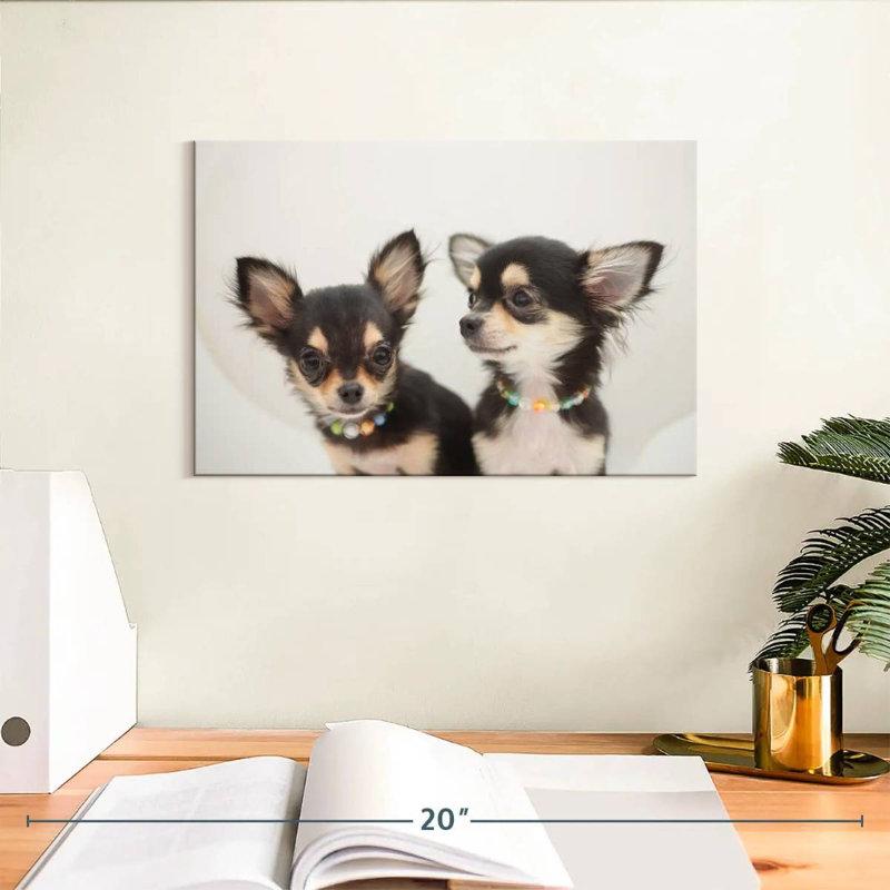 Chihuahua Duo, H 8 po x l 12 po