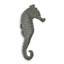 Seahorse Wall Decor