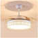 Tasmine 42'' Ceiling Fan with LED Lights