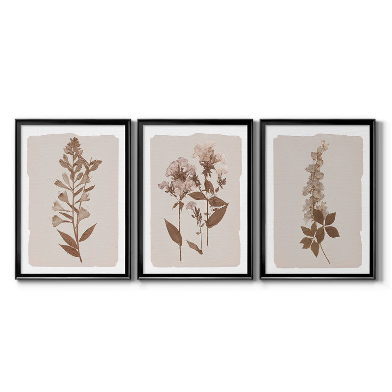 Monochromes botaniques I - Toile tendue avec châssis sur mesure - 3 pièces, Noir, H 21 po x l 30 po