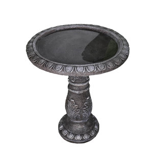 Outdoors Bird Bath Vintage Carved Pedestal Birdbath