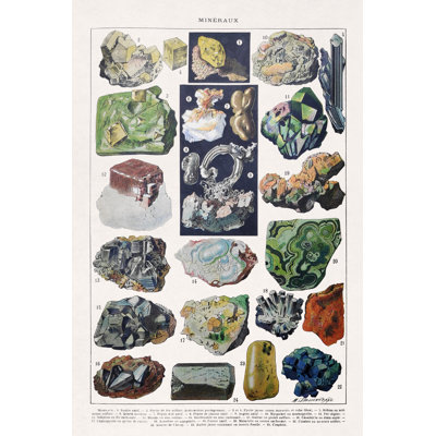 " Illustration About Mineral Species "