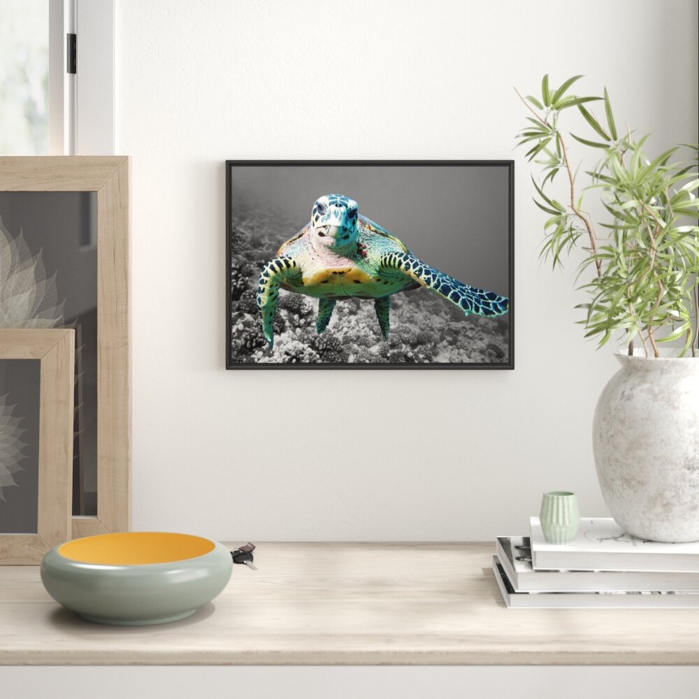 Gerahmtes Wandbild Schildkröte  Korallenriff