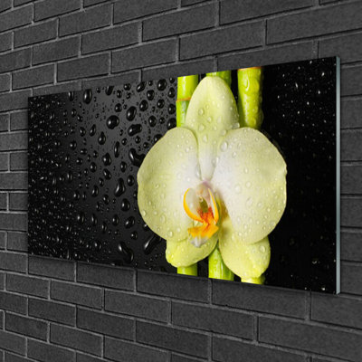 Floral Bamboo Tube Flower 1 Piece Wall Art on Glass
