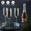 Vindas 285ml Stainless Steel Flute Set-2145920176
