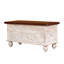 Zalia Accent Trunk