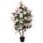 Rose sélectionné