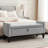 Jeani 46" Wide Velvet Tufted Rectangle Storage Ottoman-880526255