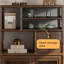 31,5 "Nouveau style chinois en bois massif noyer noir brun vitrine et support de rangement-1844689128