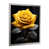 Silver Single Picture Framed