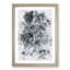 Fierce Lioness - Picture Frame Painting Print-56741479-56741481