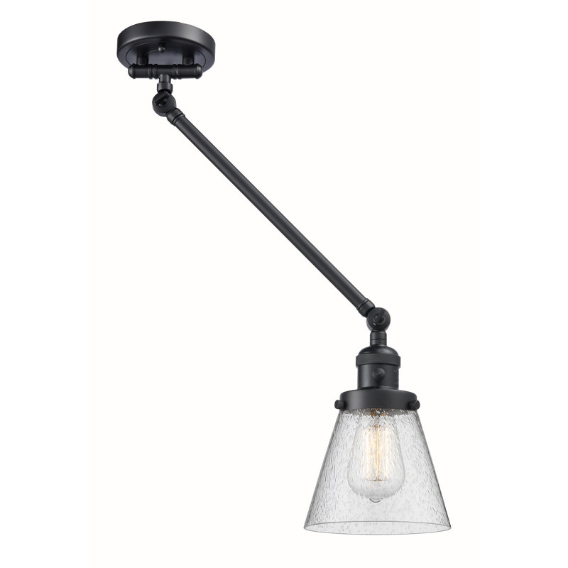 Pelkey Swing Arm Sconce, Matte White Cased, Matte Black, Bulb Not Included