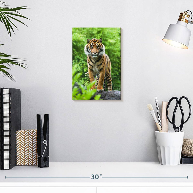Tigre de Brampt dans la forêt verte, H 12 po x l 8 po