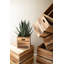  Ensemble de 6 tablettes décoratives cubiques en bois pour le style