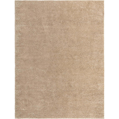 Indoor Rug
