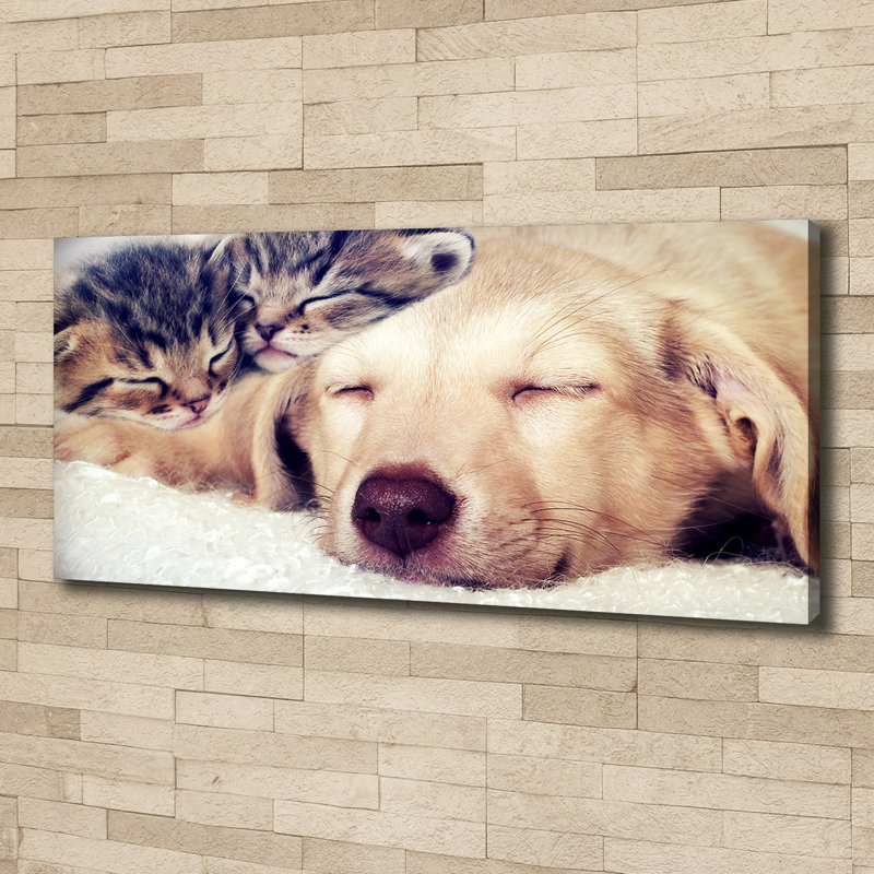 Puppy And Cats - No Frame Print on Canvas