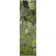Premium Machine Washable Cerrito AMF558 Fern Rug