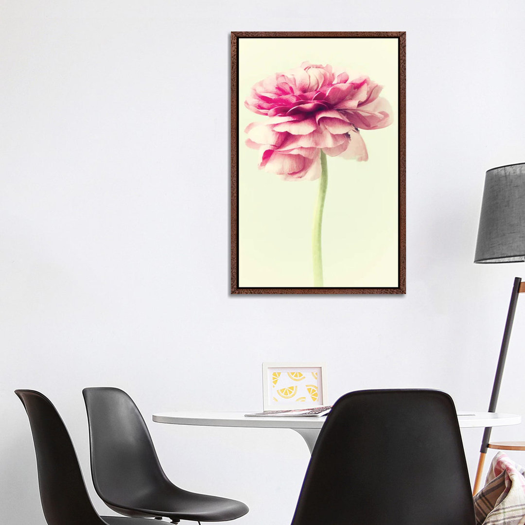 Lush Botanical I