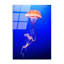 Boze Wall Decor