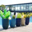 Pot de fleurs-723635112