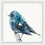 Chubby Blue Bird par Parvez Taj - reproduction d'art sur papier encadrée-50097438