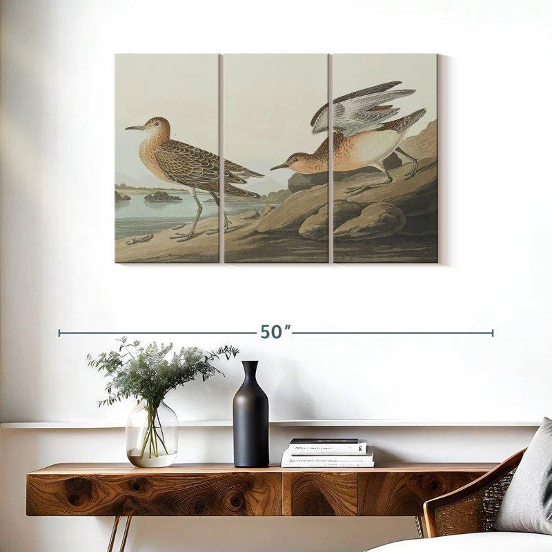 Brampt Buff Breasted Sandpiper, 24" H x 38" W
