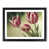 Black Frame selected