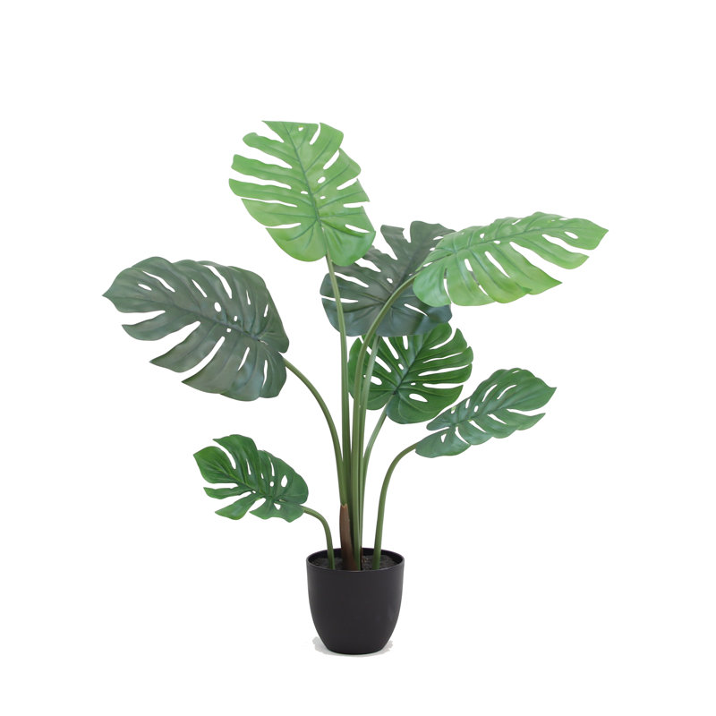 Arbre à fleurs 39 po Monstera