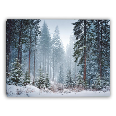 Snowfall in Evergreen Forest Wrapped Canvas Wall Art