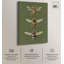 Anatomie de l'abeille -934130308-934130313