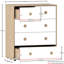 Kayshia 5 Drawer Chest-1624088881