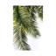 Palm Leaves by Lexie Greer - Print on Canvas-101416025-101416024