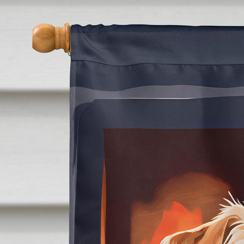 Drapeau en polyester à 2 côtés, H 40 po x l 28 po