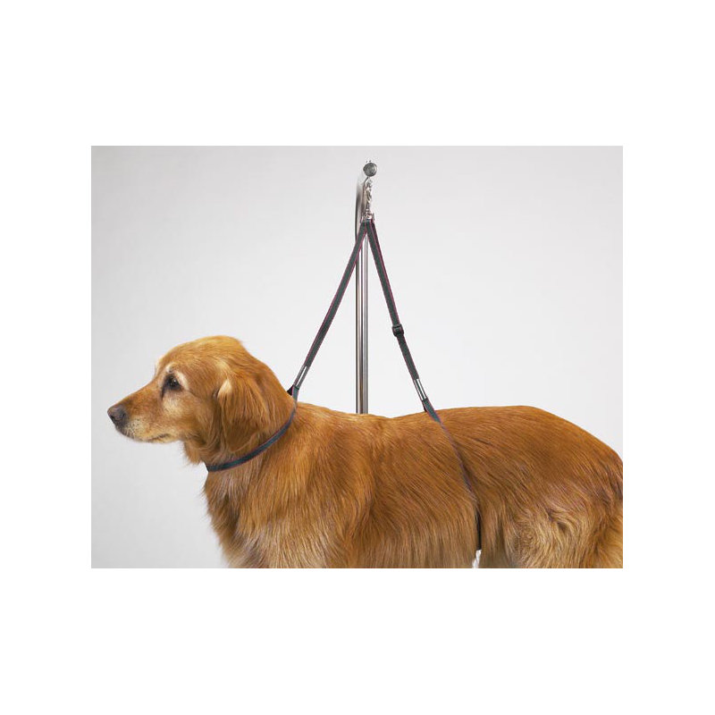 Plastic Adjustable Dog Table Accessory
