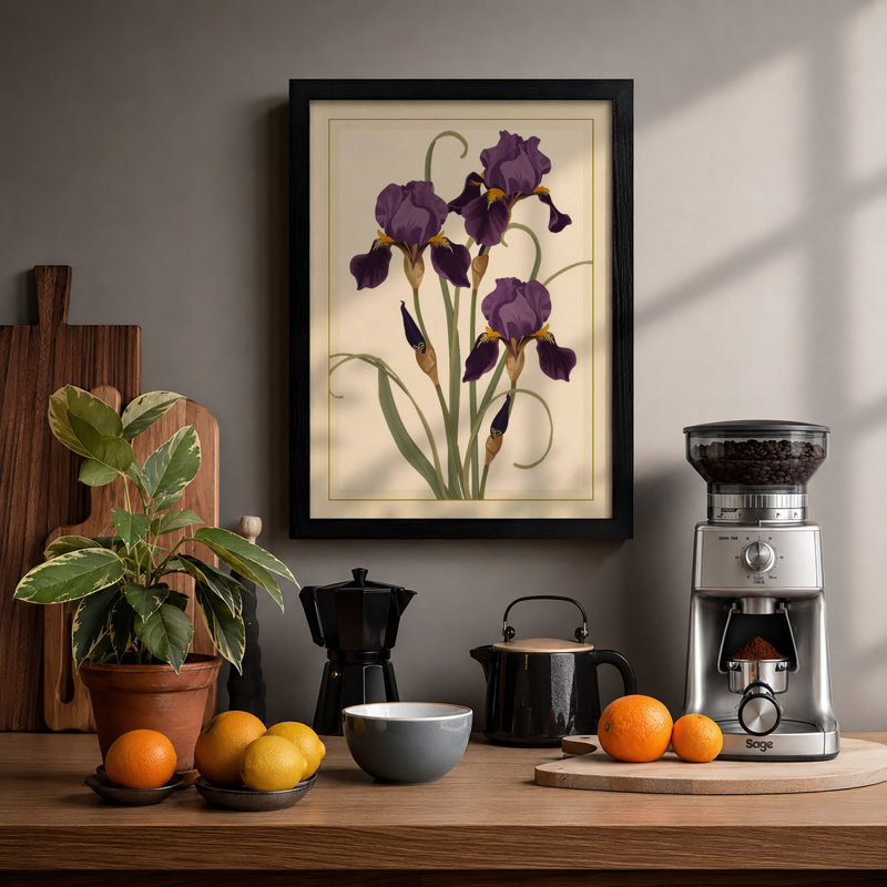 Purple Iris Study Botanical - Framed Print, A3 - 42.0 x 29.7 cm, Black