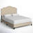 Alayah Tufted Upholstered Low Profile Standard Bed-207584062-207584057