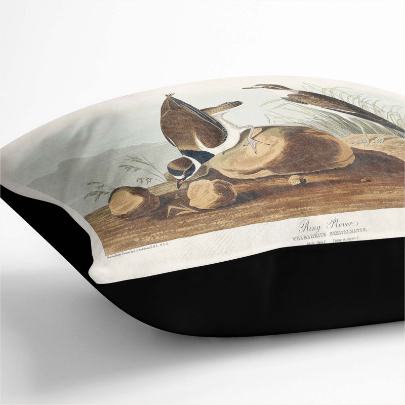 Square Throw Cushion, Black, 40cm H x 40cm W x 15cm D