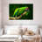 Military Macaw-107922824