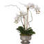 Real Touch White Phalaenopsis Orchids With Succulent In Silver Aged Metal Pot