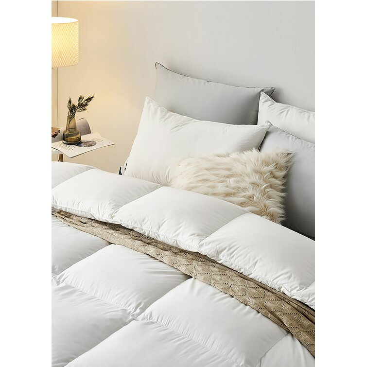 All Season Goose Feather and Down Duvet insert Cotton Shell Comforter, California King