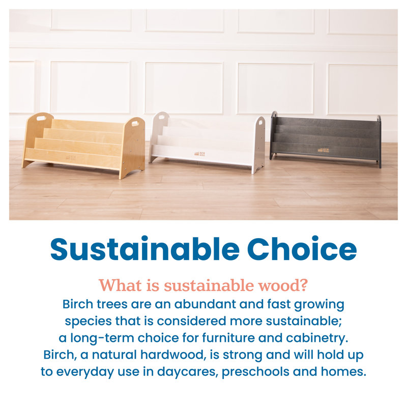 White Wash Birch 3-Shelf Kids Book Display with Handles