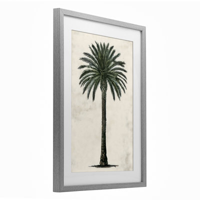 «Botanical Rounded Palm Tree», reproduction encadrée sous verre, design par LSR Design Studio
